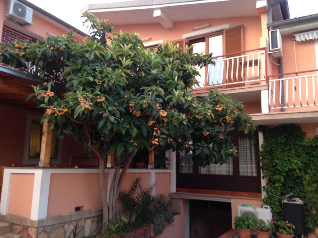 Apartmani Vilma Pakoštane Εξωτερικό φωτογραφία